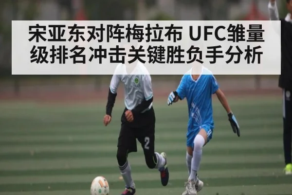 宋亚东对阵梅拉布 UFC雏量级排名冲击关键胜负手分析