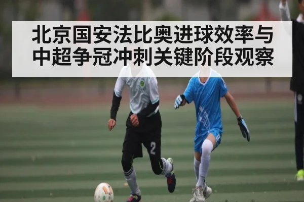 北京国安法比奥进球效率与中超争冠冲刺关键阶段观察